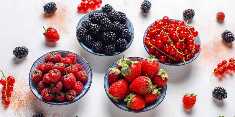 Профессор Попов: средиземноморская диета поможет снизить риск развития болезни Альцгеймера Профессор Попов: средиземноморская диета поможет снизить риск развития болезни Альцгеймера