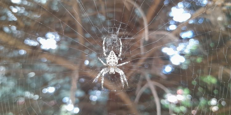 В пятницу в Рязанской области потеплеет до +23 градусов