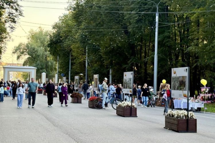 В День города фестиваль «Пульс города» объединил спорт и творчество в Лесопарке
