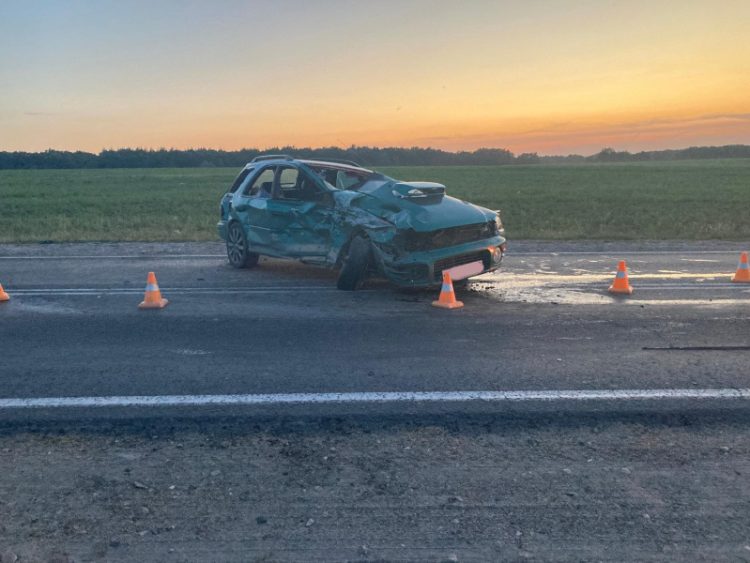 Рязанские полицейские раскрыли подробности смертельного ДТП в Пронском районе