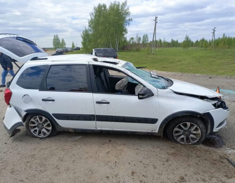 Рязанские полицейские прокомментировали смертельное ДТП в Пителинском районе