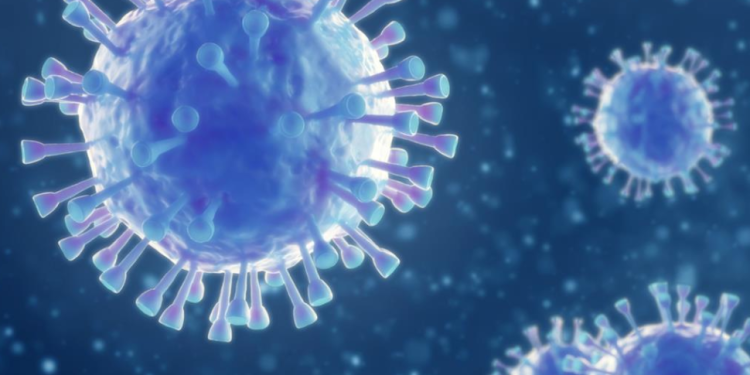 Обнаружены замедленные риски ковида