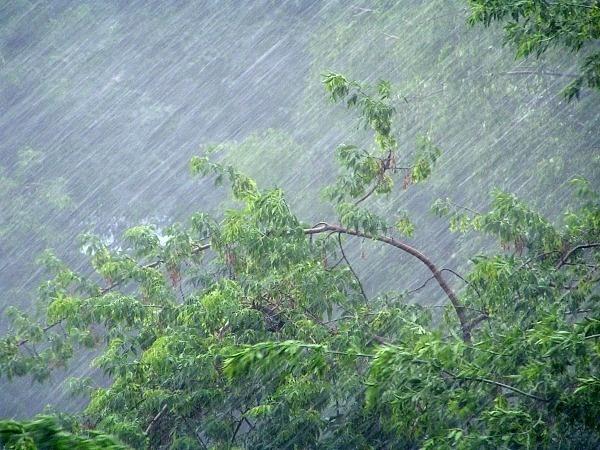 Рязанское МЧС выпустило очередное метеопредупреждение из-за грозы и дождей