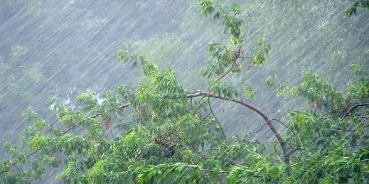 Рязанцев предупредили о сильных дождях 2 ноября