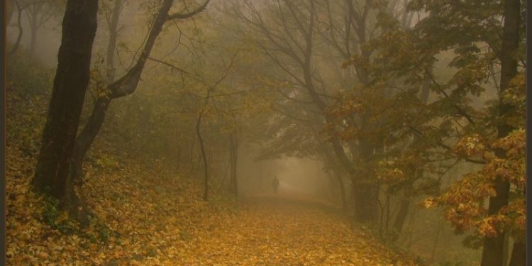 Рязанцев предупредили о дневном тумане 15 ноября