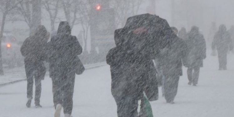11 и 12 декабря в Рязанской области ожидается сильный снег и порывы ветра