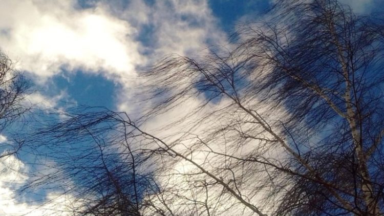 Рязанцев предупредили о сильном ветре и локальном дожде 18 ноября