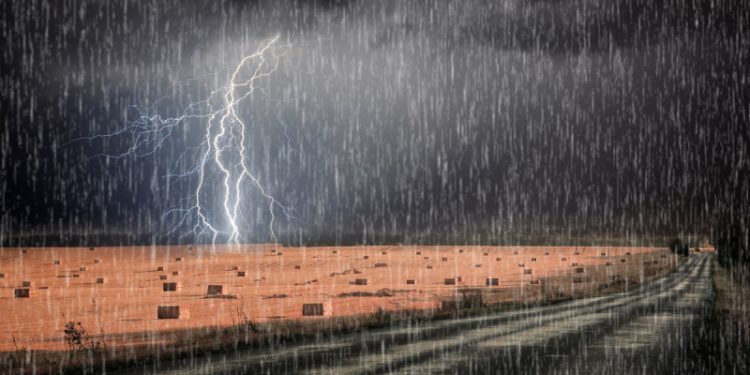 Рязанцев предупредили о сильном дожде и грозах 7 мая