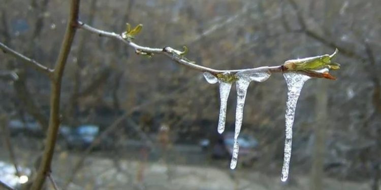 МЧС: с 8 по 10 мая в Рязанской области ожидаются заморозки до -5 градусов МЧС: с 8 по 10 мая в Рязанской области ожидаются заморозки до -5 градусов