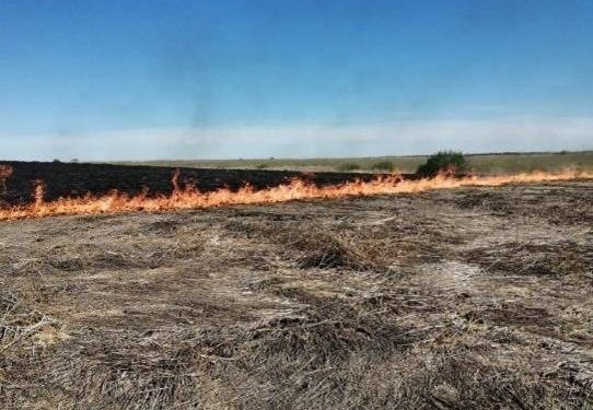 МЧС: с 13 по 16 сентября в Рязанской области сохранится высокая пожарная опасность
