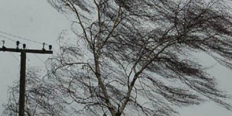 МЧС предупредило рязанцев о ледяном дожде и мокром снеге
