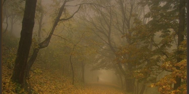 Рязанцев предупредили об утреннем тумане 16 октября