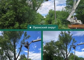 Опиловка аварийных деревьев прошла в Новомичуринске и Пронске