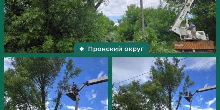 Опиловка аварийных деревьев прошла в Новомичуринске и Пронске