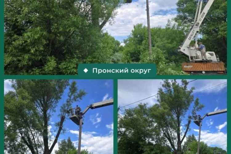 Опиловка аварийных деревьев прошла в Новомичуринске и Пронске