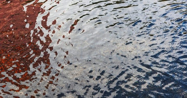 В Рязани на улице Гоголя прорвало канализацию