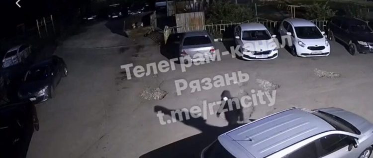 В рязанской Дашково-Песочне неизвестный украл фары автомобилей