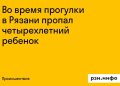 Четырехлетний ребенок пропал в Рязани во время прогулки