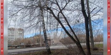 Дерево повисло на электрических проводах в Рязани