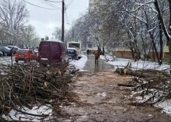 Коммунальные службы Рязани убирают поваленные снегом деревья