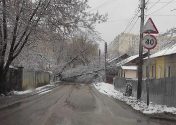 Упавшее дерево перегородило дорогу в Рязани на улице Разина