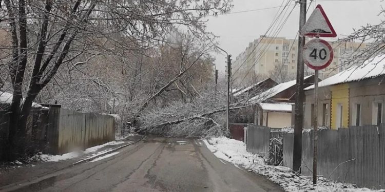 Упавшее дерево перегородило дорогу в Рязани на улице Разина