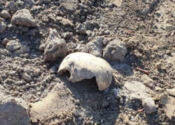 Археологи продолжили раскопки на площади Свободы в Рязани