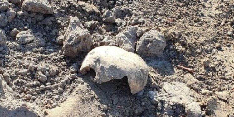 Археологи продолжили раскопки на площади Свободы в Рязани