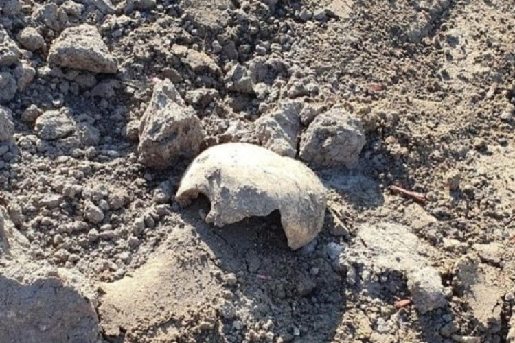 Археологи продолжили раскопки на площади Свободы в Рязани