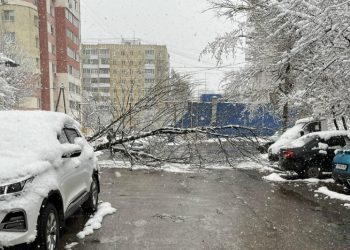 Рухнувшее дерево перекрыло проезд в Рязани