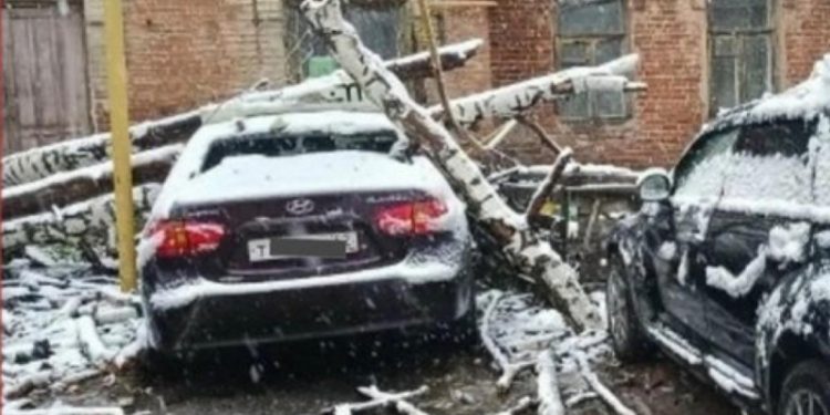 Упавшее дерево повредило газовую трубу в Рязани