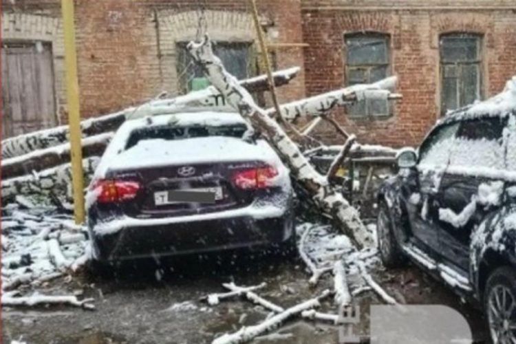 Упавшее дерево повредило газовую трубу в Рязани
