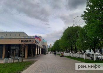 В Рязани вырубили 3600 деревьев и посадят лишь 300 новых