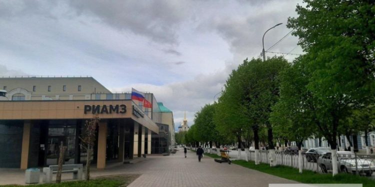В Рязани вырубили 3600 деревьев и посадят лишь 300 новых