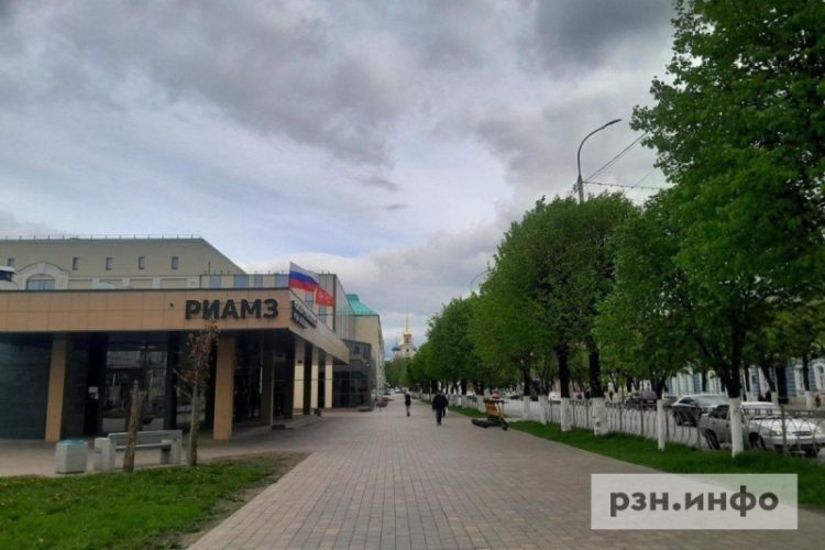 В Рязани вырубили 3600 деревьев и посадят лишь 300 новых