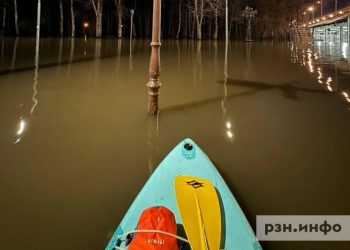 В Рязани вода в Лесопарке спала перед сап-фестивалем