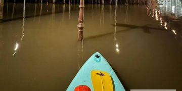В Рязани вода в Лесопарке спала перед сап-фестивалем