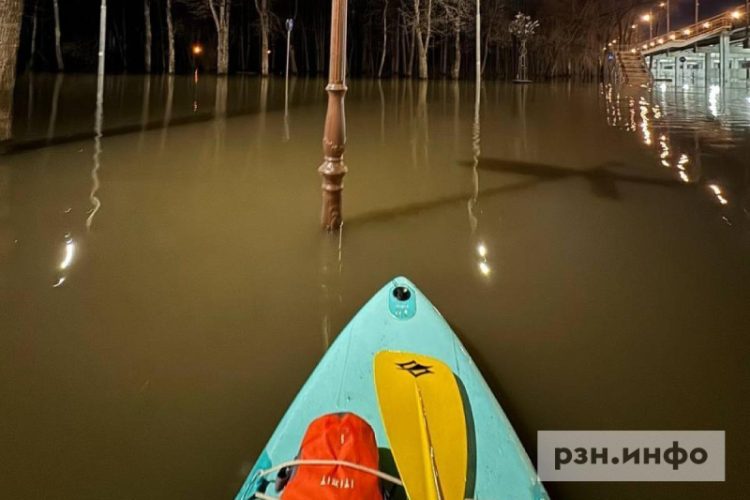 В Рязани вода в Лесопарке спала перед сап-фестивалем