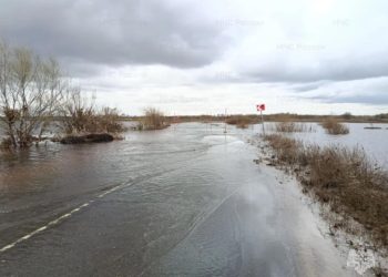 Подъем воды подтопил мост и дорогу в Рязанской области