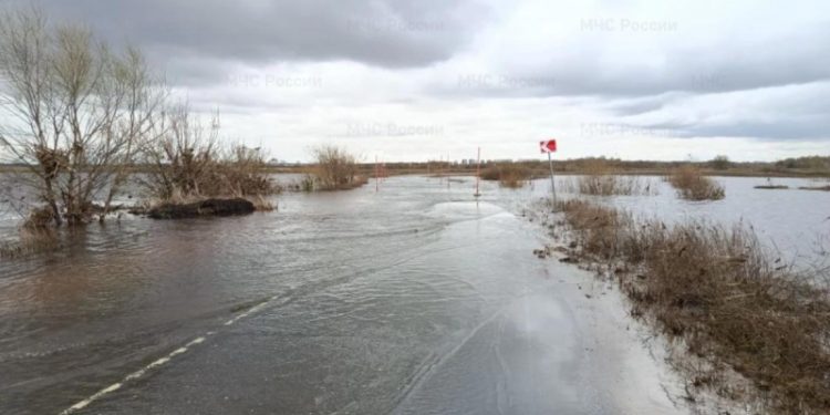 Подъем воды подтопил мост и дорогу в Рязанской области