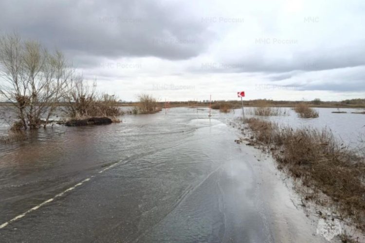 Подъем воды подтопил мост и дорогу в Рязанской области