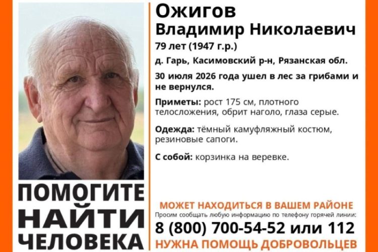 79-летний пенсионер пропал в Рязанской области