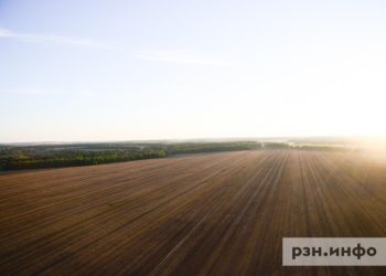 Карантин установлен в Рязанской области