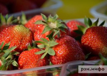 Клубника в России подешевела почти на треть