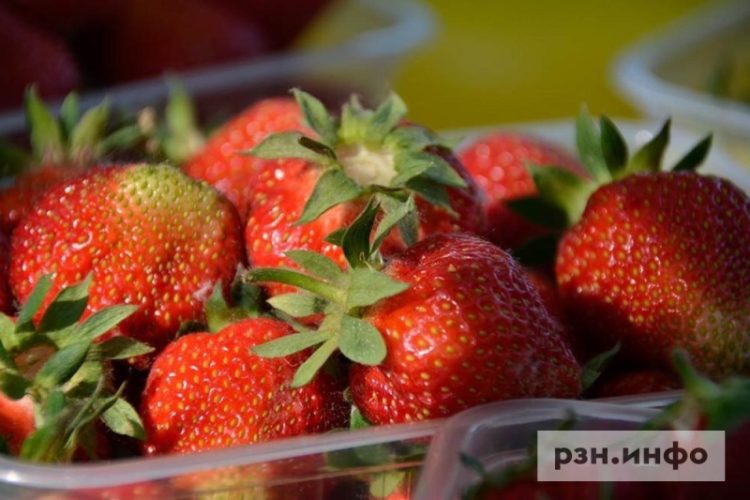 Клубника в России подешевела почти на треть