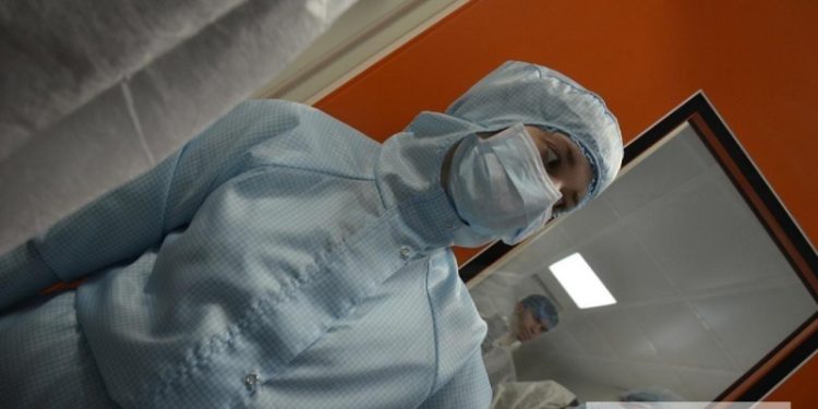 Новая российская вакцина победит аллергию на пыльцу березы