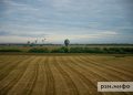 Россия вводит пошлину на экспорт пшеницы