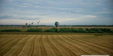 Россия вводит пошлину на экспорт пшеницы