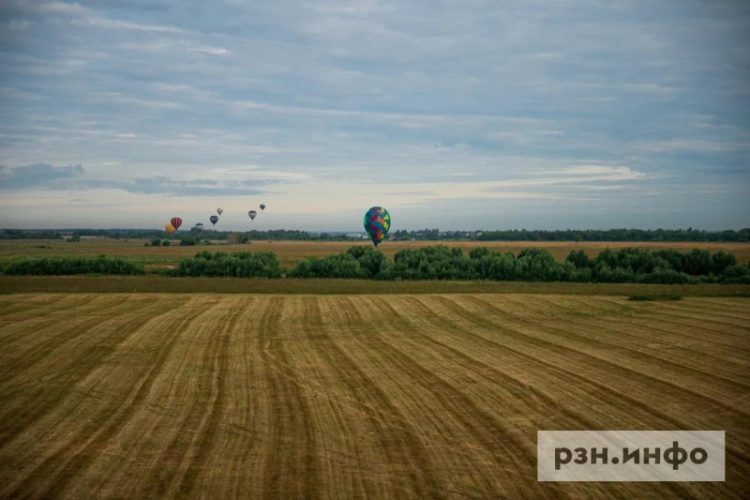 Россия вводит пошлину на экспорт пшеницы
