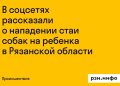Соцсети сообщили о нападении стаи собак на ребенка в Рязанской области